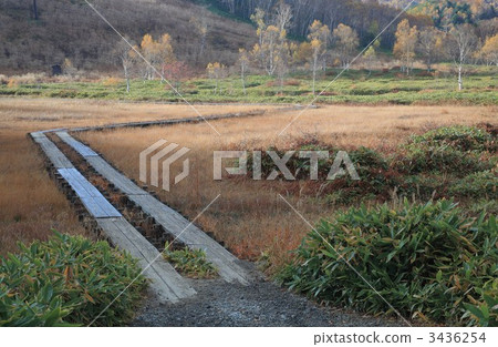 Fall autumn autumn wetland Fall autumn autumn wetland 3436254