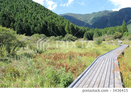 Oda Fusu Marsh · Marsh on the west side 3436415