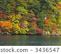 Autumn leaves on the shore of Lake Towada 3436547