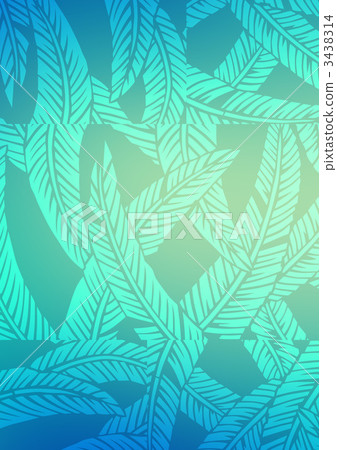 fiber banana leaves, japanese banana, hardy banana 3438314