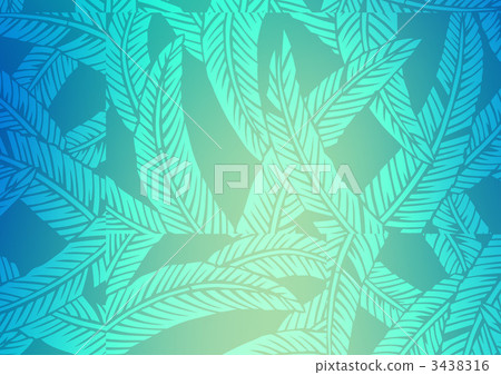 fiber banana leaves, japanese banana, hardy banana 3438316