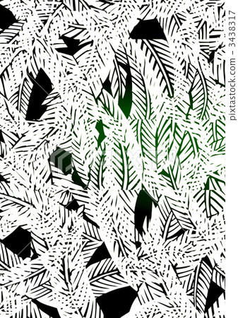 fiber banana leaves, japanese banana, hardy banana 3438317