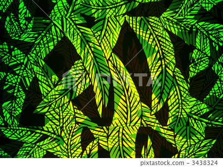 japanese banana, hardy banana, fiber banana leaves 3438324