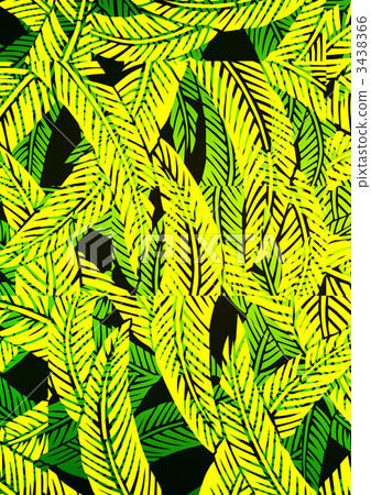 fiber banana leaves, japanese banana, hardy banana 3438366