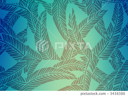 fiber banana leaves, japanese banana, hardy banana 3438380