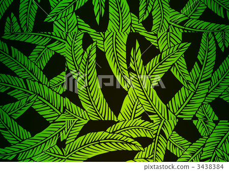 fiber banana leaves, japanese banana, hardy banana 3438384