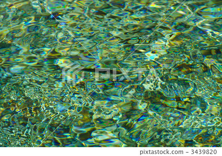 游泳清楚的小河的河魚 3439820