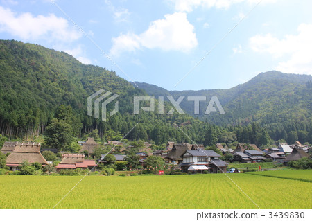 Miyama在夏天 Miyama在夏天 3439830