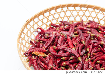 辣椒在猴子服務 辣椒在猴子服務 3442427
