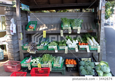 Vegetable direct selling place 3442674