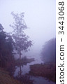 pond, lagoon, forest 3443068