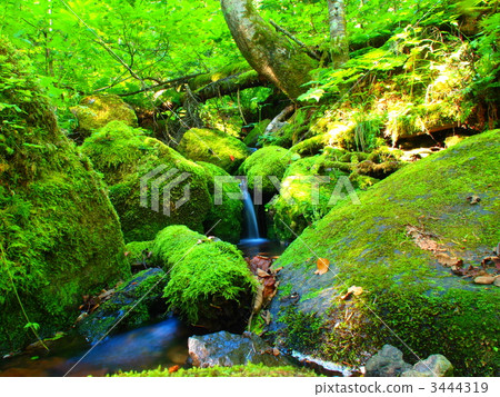 Burakawa河源 3444319