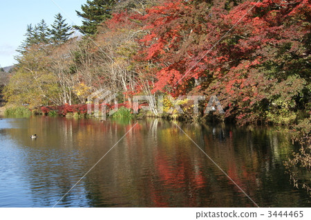 娛樂 主題公園 遊樂園 3444465