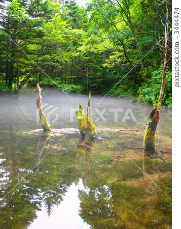 Spring water flowing from God's pond Spring water flowing from God's pond 3444474