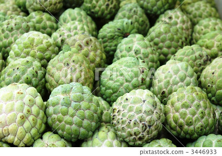 Taiwanese sugar apple 3446933