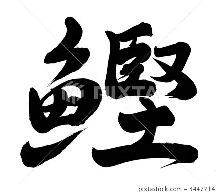鰹 插圖素材 圖庫 鰹 插圖素材 圖庫