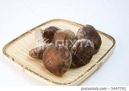 椎茸 食品 原料 3447791