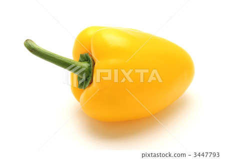 辣椒 3447793