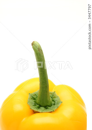 辣椒 辣椒 3447797