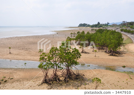 Hirugi社區 3447910