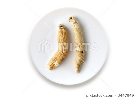中草藥人參 中草藥人參 3447949