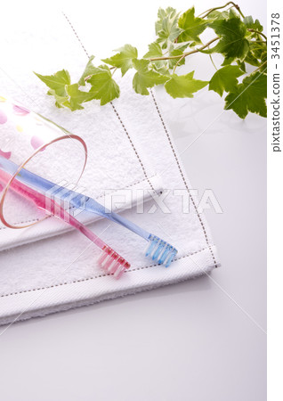 牙粉 牙粉 3451378