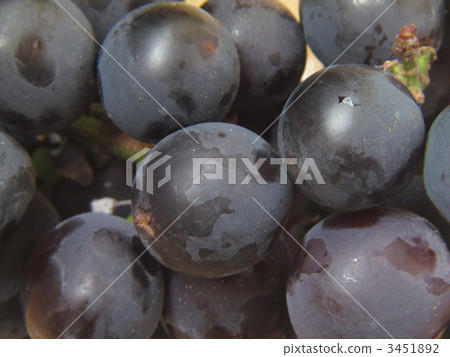 巨大的高峰 3451892