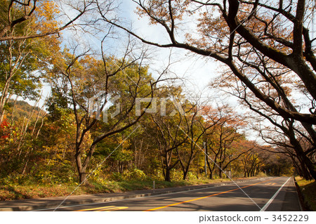 Fall autumn road Fall autumn road 3452229