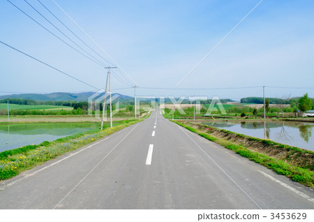 全景路Ehana 3453629