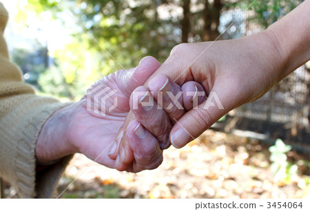 Sushinaru hand autumn 3454064