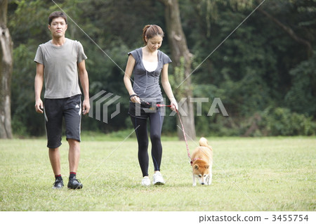 person, Shiba, shiba-inu 3455754