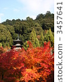 Eiyuudo of autumn leaves (Kyoto) 3457641