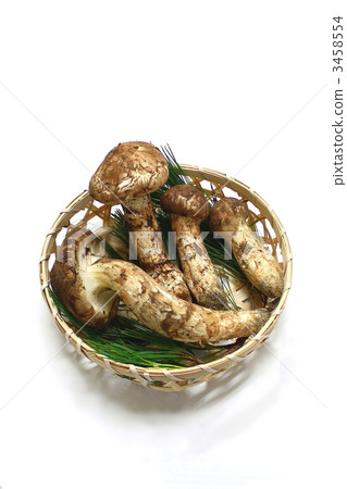 松茸蘑菇 3458554