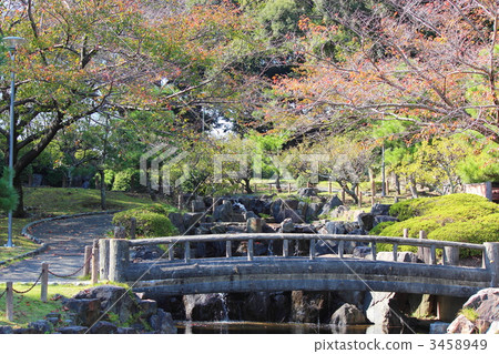 Gamagori Central Park where I started to like color 3458949