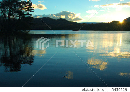 Morning of happiness 3459229