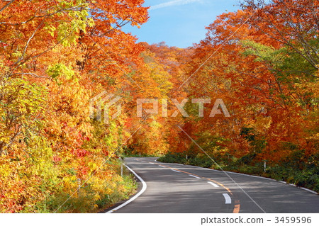 Autumn leaves of Hachimantai Aspieel line 3459596