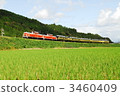 Seasoning train 3460409