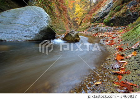 The river of the autumnal leaves 3460927