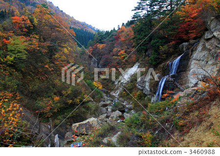 滑稽的山河的入口秋葉河谷的 滑稽的山河的入口秋葉河谷的 3460988