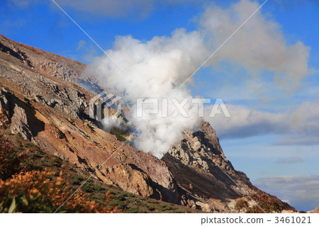 整個羽流羽 3461021