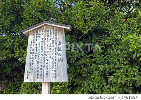 Heian Jingu shrine right nearby 3461584