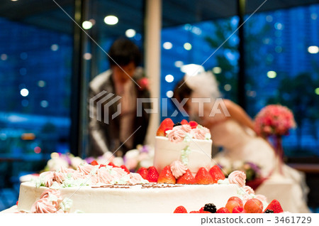 Cake brush bride and groom 3461729