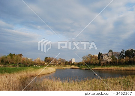 Mizu公園 Mizu公園 3462367