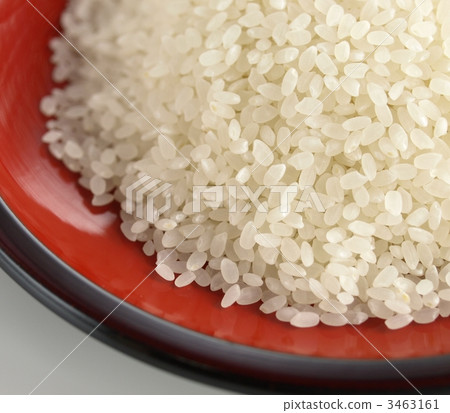 Rice and rice grains in lacquer ware Rice and rice grains in lacquer ware 3463161