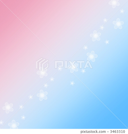 cherry blossom, flower, flowers 3463310