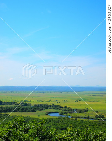 Kushiro Marsh 3463827