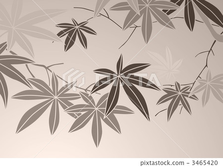 畫報 植物 花紋 3465420