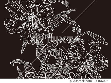 蔓藤花紋 百合科 數碼成像圖片 3466005
