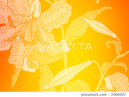 arabesque, liliaceae, computer graphic 3466007