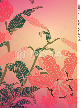 蔓藤花紋 百合科 數碼成像圖片 3466008